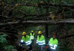 I sentieri collinari, percorribili a piedi o in mountain bike, sono un patrimonio buschese da valorizzare